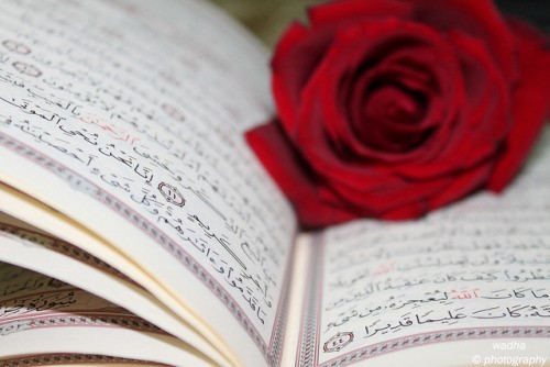 Causas que Resultam no Amor de Allah