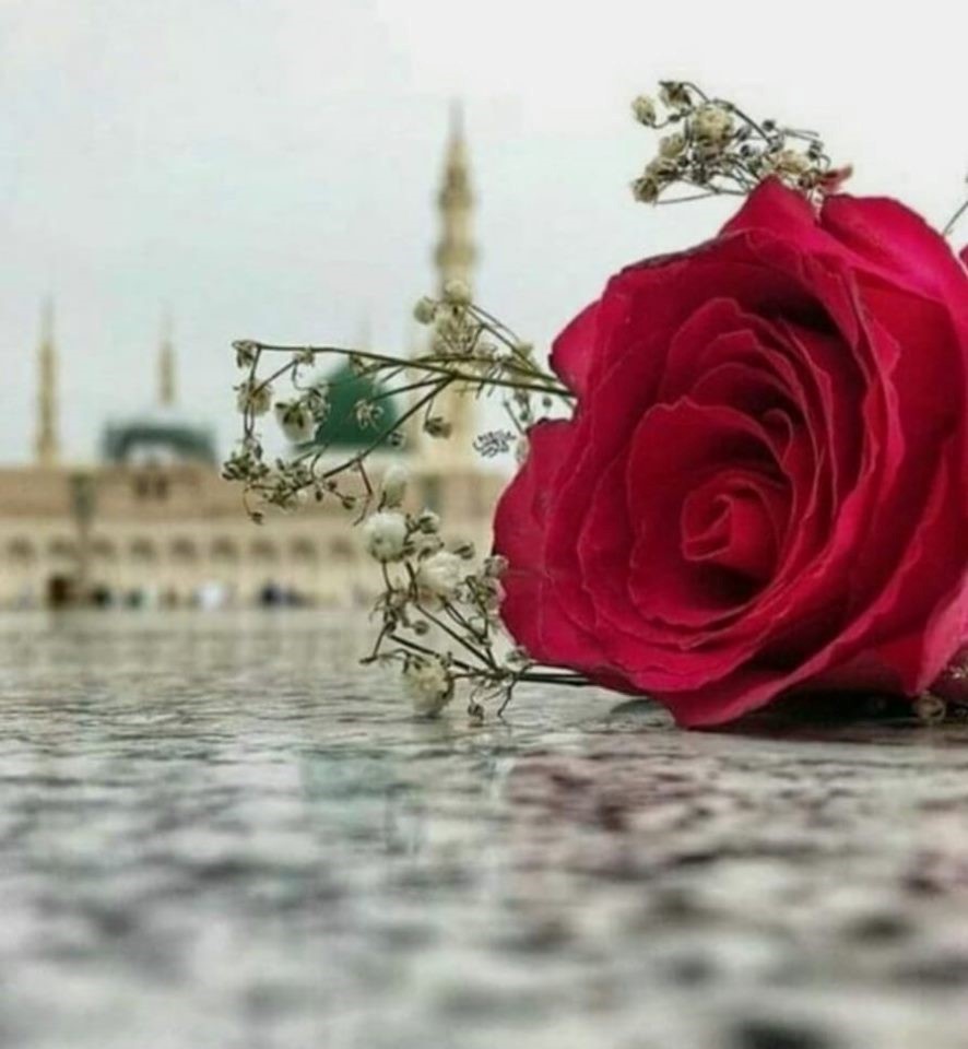 Shahada: 6 Condições de “Muhammad é o Mensageiro de Allah”